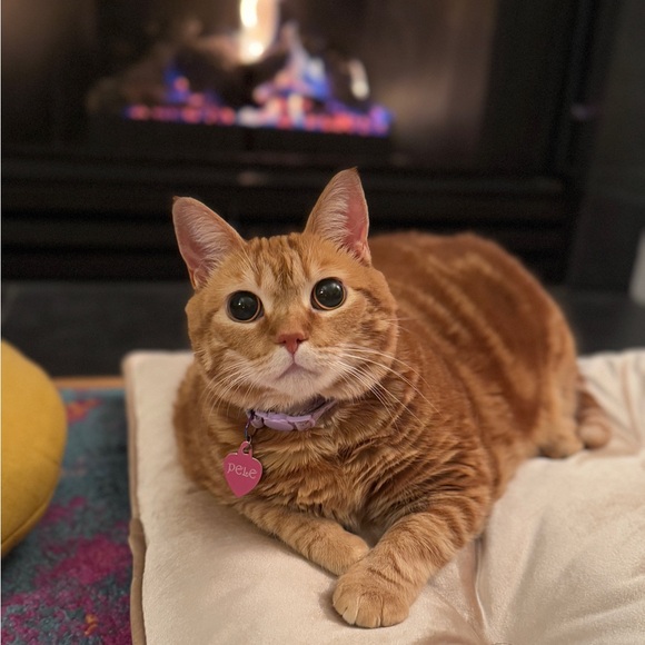 Hi :) - Picture 7 of 8